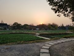 -乌镇景区