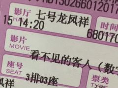 -保定金棕榈先天下国际影城(LUXE)