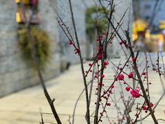 -回龙窝历史文化街区