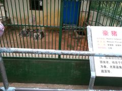 -广东茂名森林公园