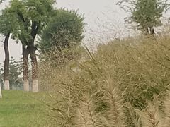 -汉长安城未央宫国家考古遗址公园