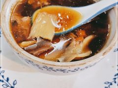 -達揚原味燉品(文明路店)