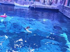 -华夏文旅海洋公园