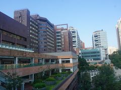 -香港大学