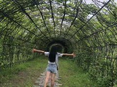 -呼兰河口湿地公园