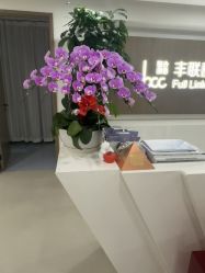 -丰联丽格医疗美容·联合丽格眼整形中心