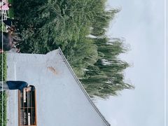 -春风习习