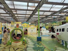 -南宫五洲植物乐园