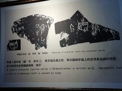 -四川大学华西口腔医院(华西院区)