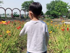 -鹅湖玫瑰文化园