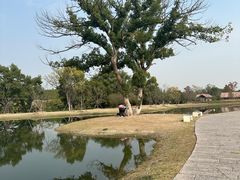 -良渚古城遗址公园