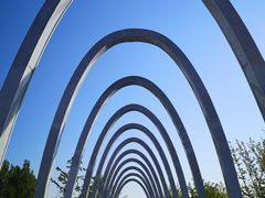 -大兴滨河森林公园