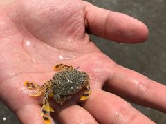 -嵊泗基湖沙滩