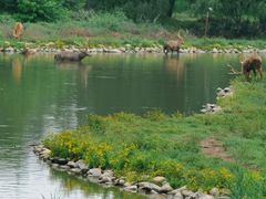 -南海子公园