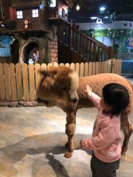 -哈尼鹿儿童乐园(兰州东瓯店)