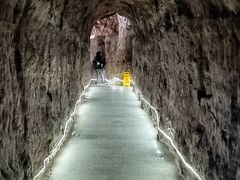-中国西峡恐龙遗迹园