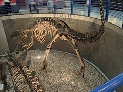 -国家自然博物馆