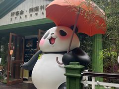 -轩客会(熊猫书店)