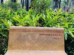 -金砂公园
