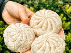 -巴比馒头(通河四村店)