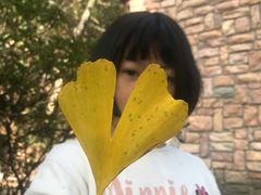 -木兰云雾山