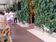 Administrator桌面680e0d9fjw1e77bzg0kf3j20hs0npq44-绿色时代大酒店