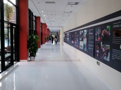 -上海德威外籍人员子女学校(浦东校区)