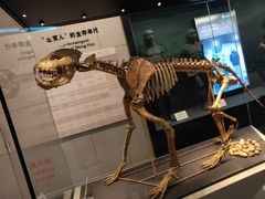 -北京周口店北京人遗址博物馆