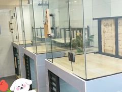 -宠小格时尚宠物生活馆(唐镇店)