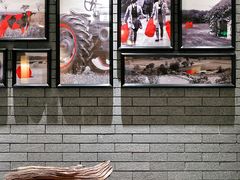 -圣丰索菲特·法国餐厅