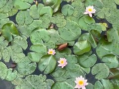 -昆山城市生态森林公园