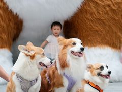 -新光里