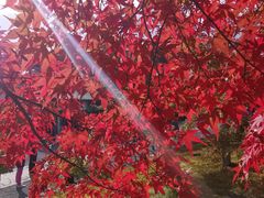 -无印良品(京都BAL店)