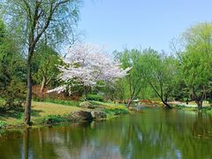 -上海滨江森林公园