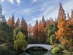-东平国家森林公园