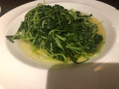 清炒时蔬-金枝玉叶上海人家食府(三里河店)