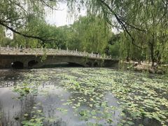 -满都海公园