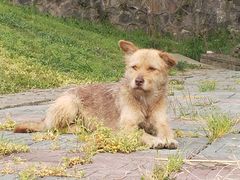 -南京金牛湖风景区