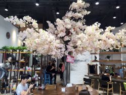 -简影造型·自选烫染接发salon