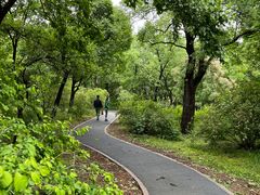 -国家植物园南园