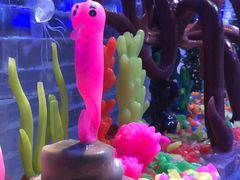 -宁波冰雪大世界(北仑区)