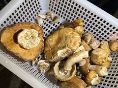 -草墩罗非鱼庄•野生菌•腊排骨(七星街上段店)