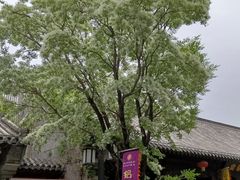 -青州古城