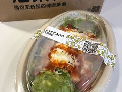 -油梨树AVOCADO TREE(嘉里中心店)