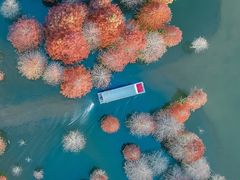 -郑家山村凉皮 肉夹馍 油泼面