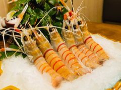 新西兰鳌虾-万岛日本料理铁板烧(太古里店)
