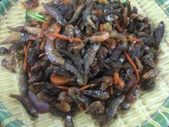 -花悦农庄 | 烧鸡·竹筒饭(沙迳高沙温泉香溪堡店)