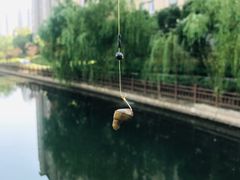 -新江湾城公园