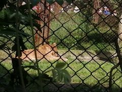 -合肥野生动物园