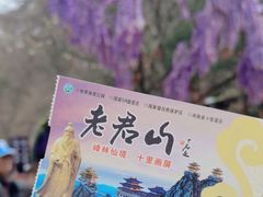 -老君山风景名胜区